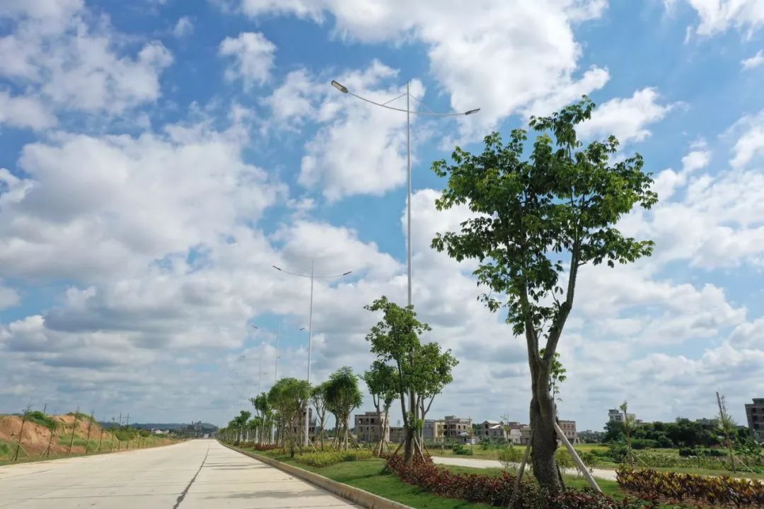 来看看即将竣工通车的廉江东环大道如何了!