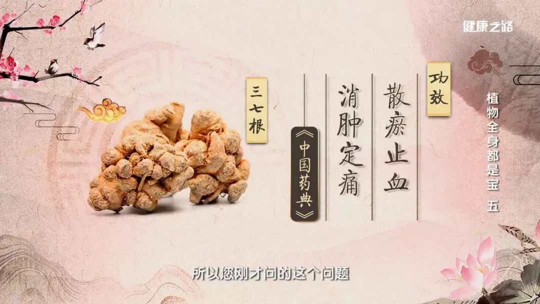 三七生吃活血,熟吃补血,换种用法止血,化瘀,还美容!