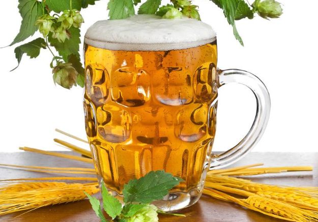 麦芽之所以很早被定为啤酒生产的主要原料,是因为:(1)大麦在世界上的