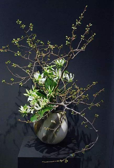 中式插花欣赏别样美