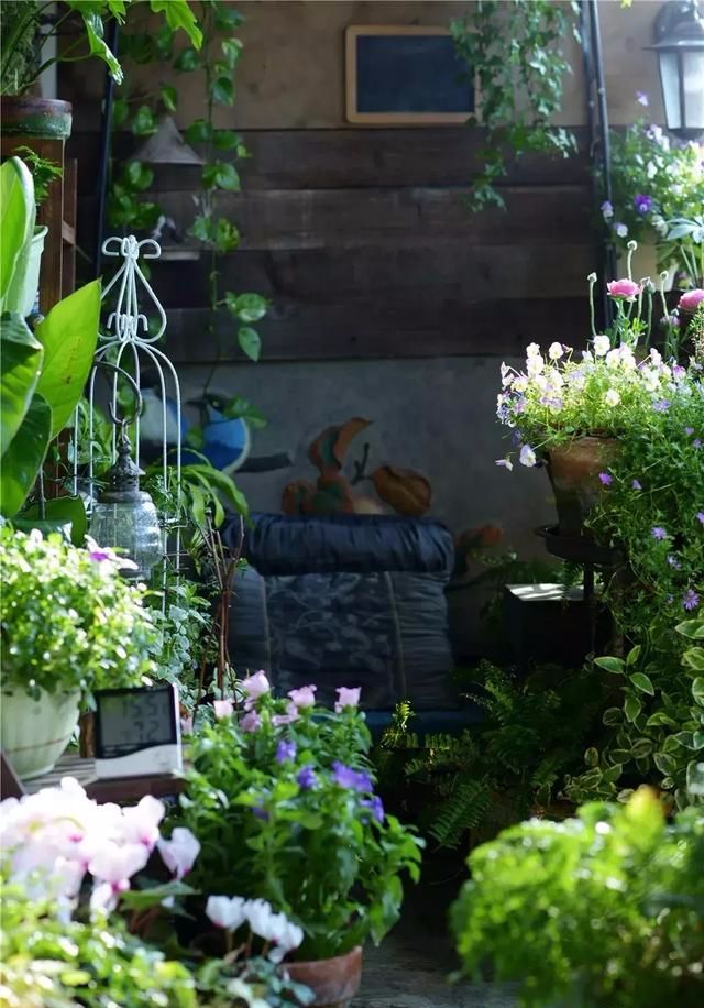 6平的阳台花园实在是太漂亮了