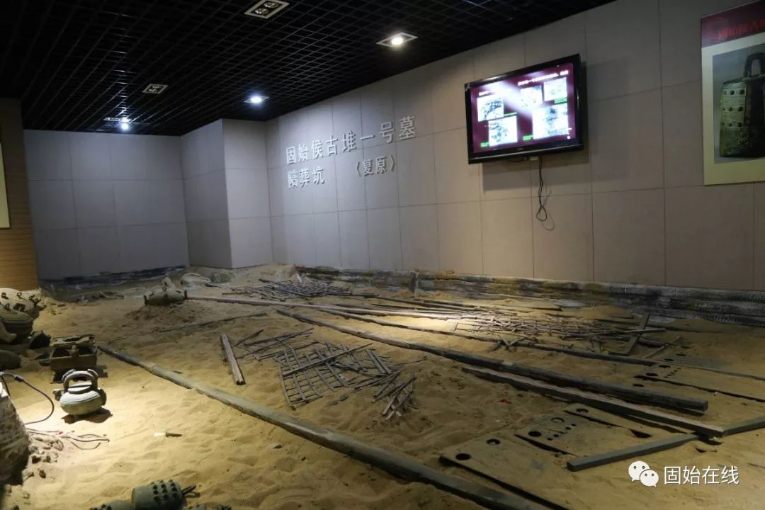 带你走进固始根亲博物馆探寻历史文物真容