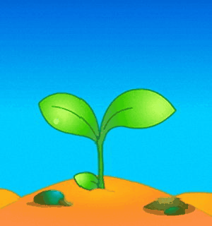 300_320gif 动态图 动图