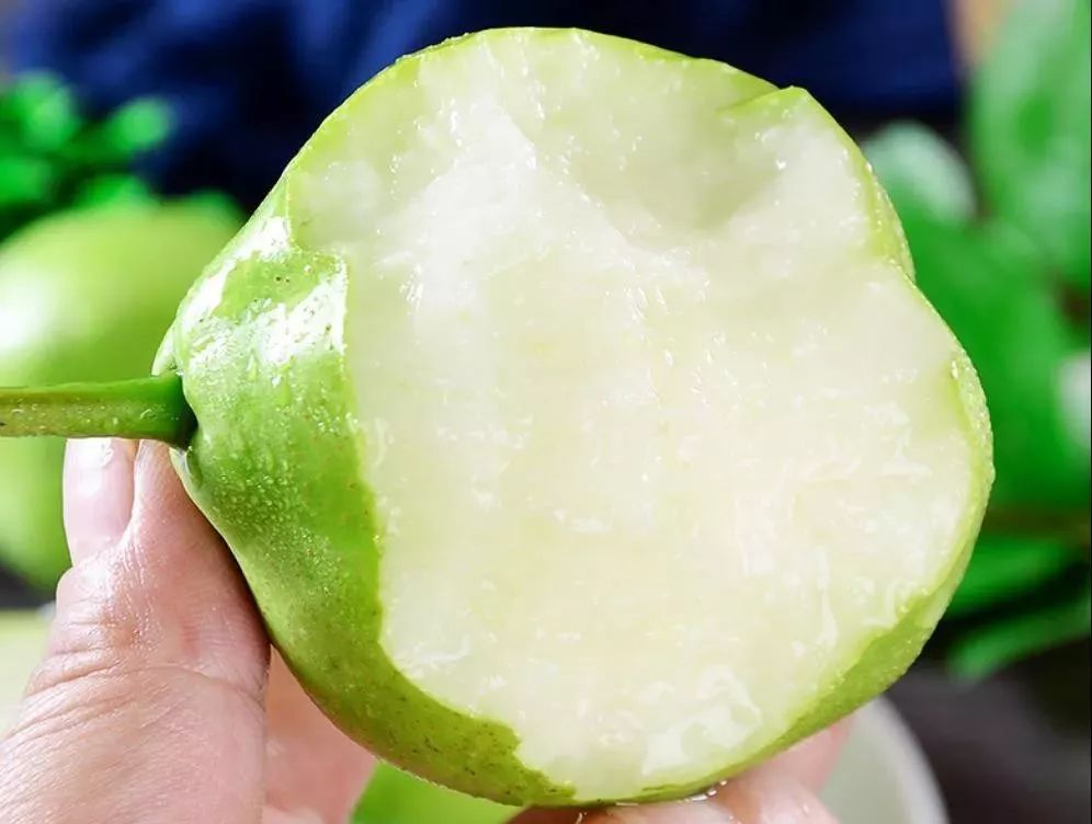 日食斤梨不为多",中医上说,吃梨有润肺止咳,滋阴清热的功效;早酥梨中