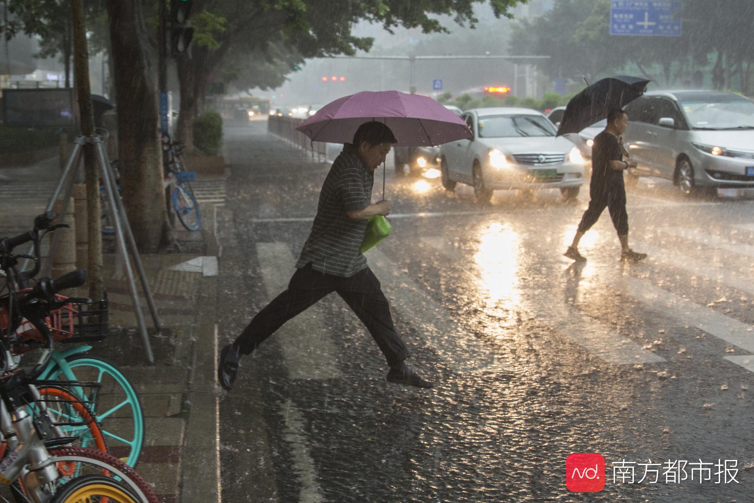 热雷雨频繁突袭广州路人猝不及防成行走的表情包