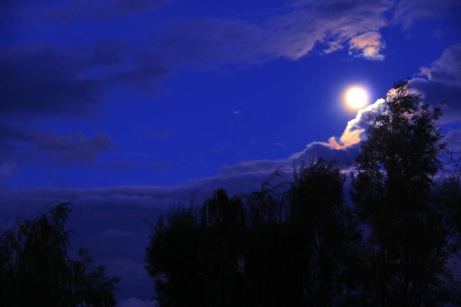 一直在楼头感受着秋夜诗意的诗人欣喜地发现:月亮在浮云浅淡处露出清