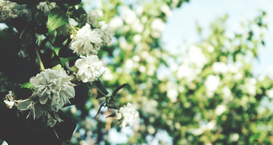 家电产业正在酝酿一轮反弹行情：政策力挺、企业破冰、消费升格-家电圈官网