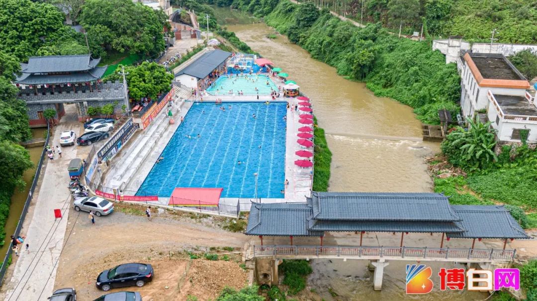 昨天,博白绿珠江畔小树林,一帮人在这里庆祝