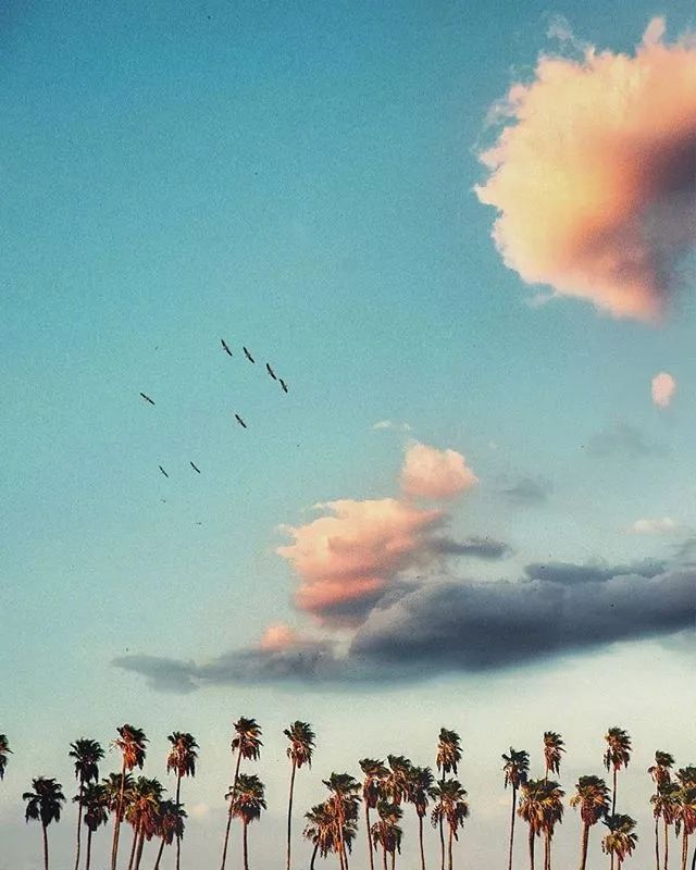 生活五味杂陈,人生纷纷扰扰,一颗善良的心,必能将各种况味妥帖安放,把