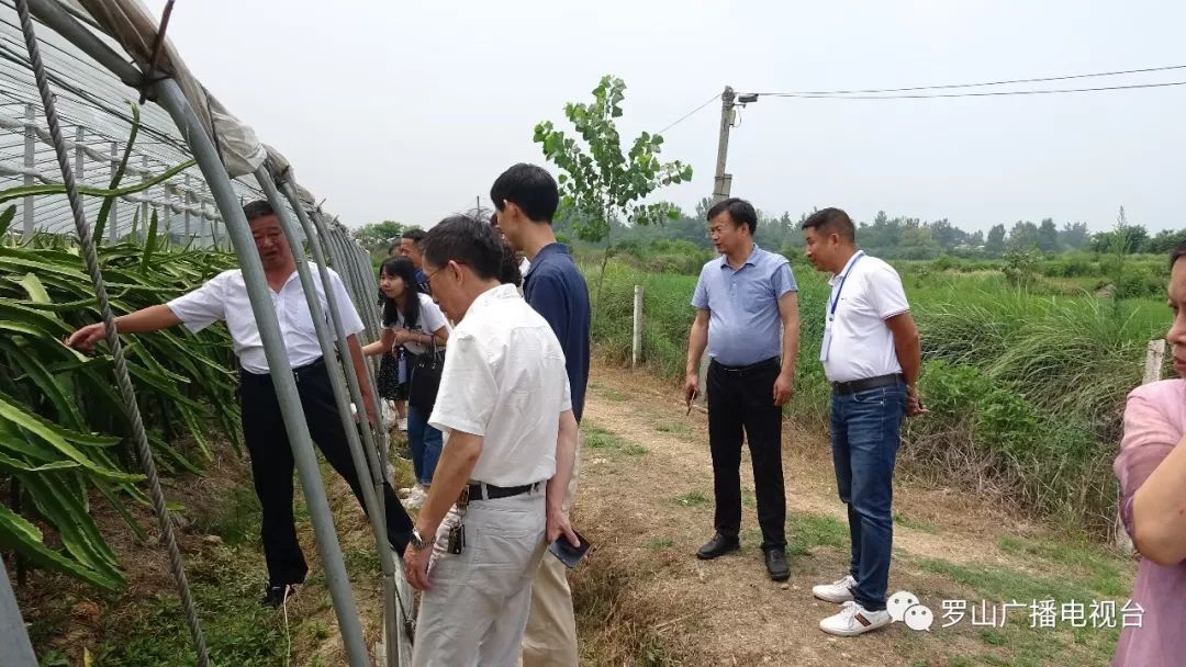 驻罗市人大第三代表小组到潘新镇调研乡村振兴工作