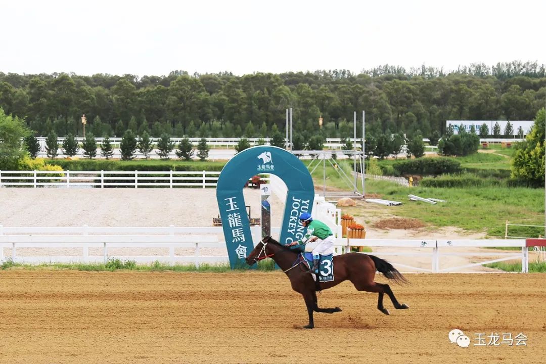 国产神驹【汇通天下】书写10连冠佳话暨2019玉龙国际赛马公开赛第11