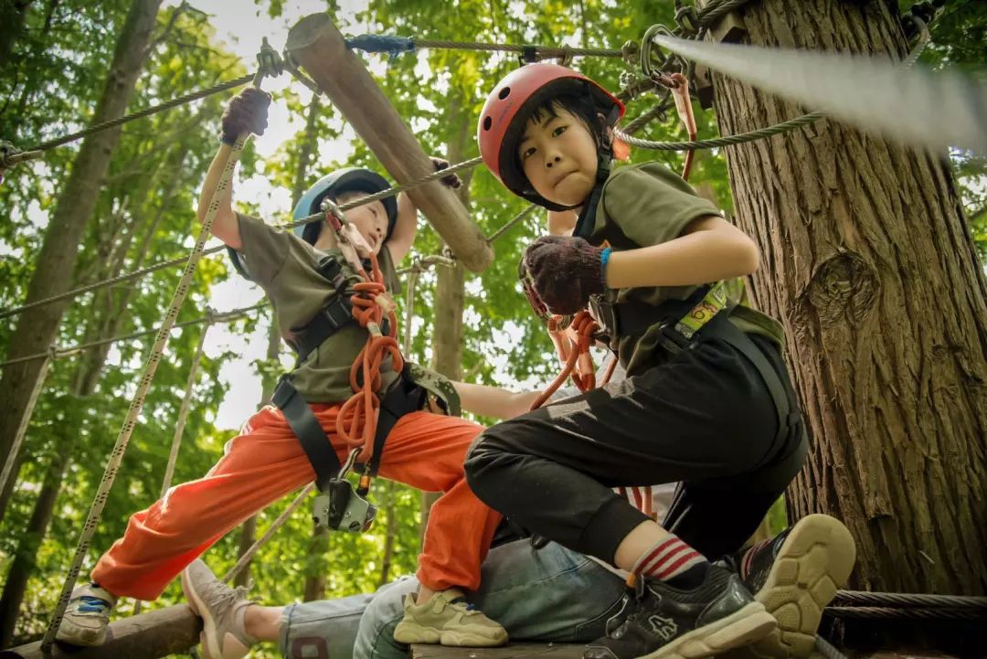 在探索中成长在研学中圆梦