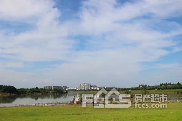 严家淤岛的位置比较特殊,在三江交汇之处,又位于主