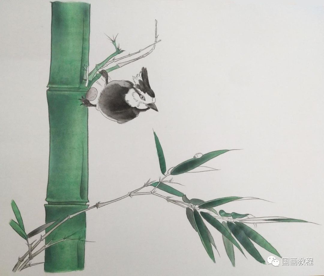 国画教程工笔67竹