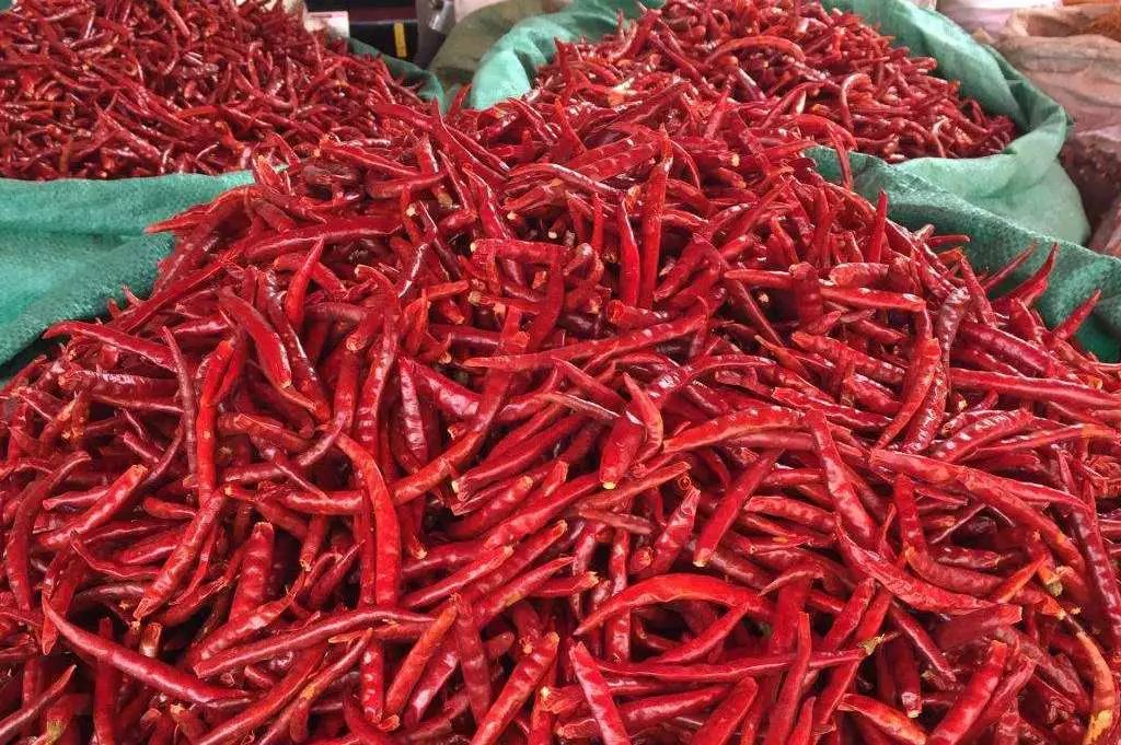 潮玩人生就要火辣辣昆明关于辣椒的数种吃法