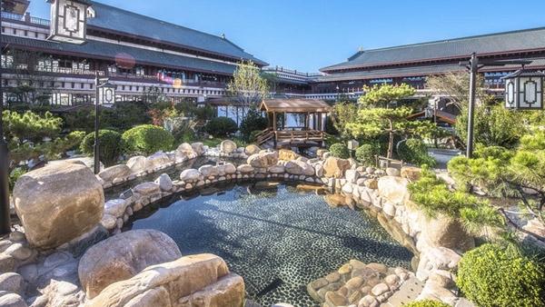 暑期带娃旅游秘籍带你解锁天津东丽湖恒大温泉