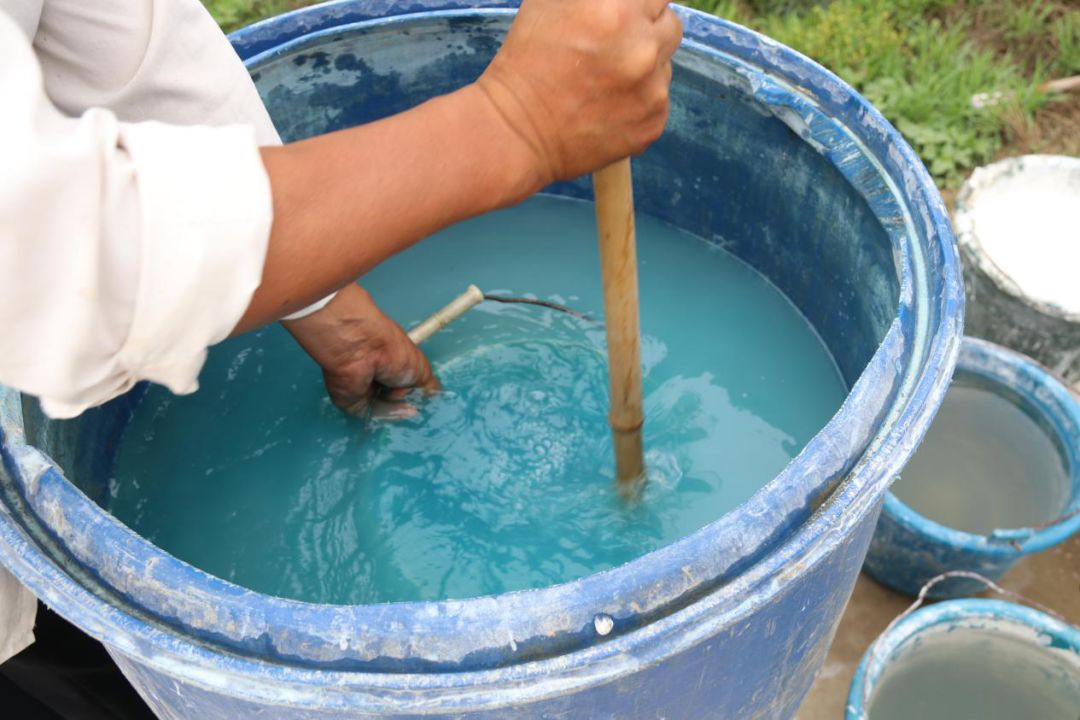 药剂波尔多液的配制以及在不同果树的病害防治使用最近正处于防病重要