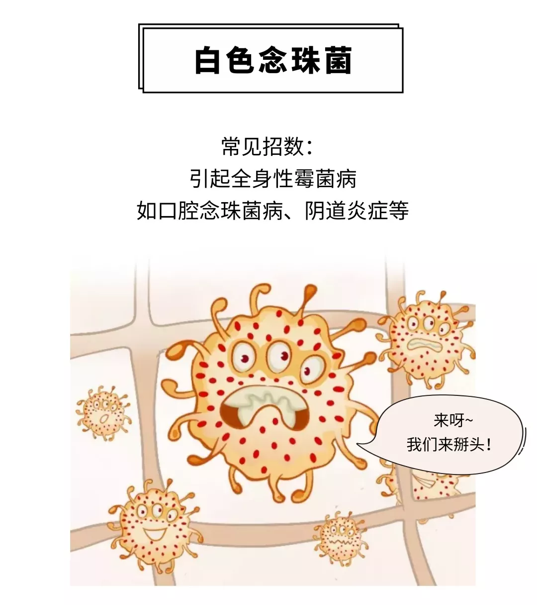 白色念珠菌:常见招数引起全身性霉菌病,如口腔念珠菌病,阴道炎症等.