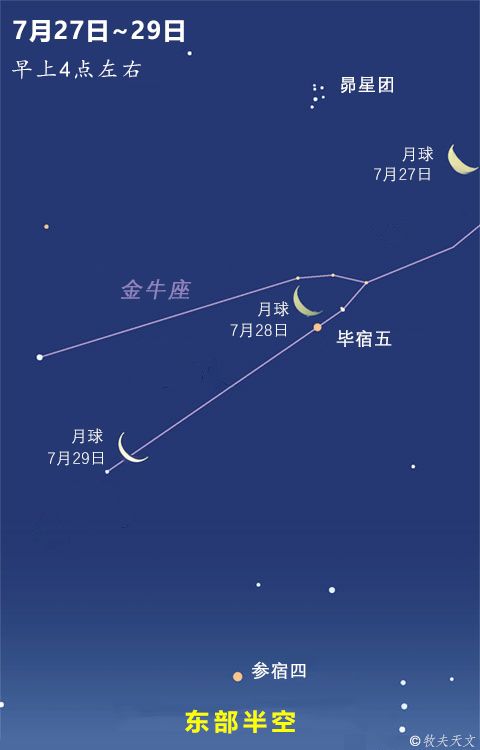 金像星座图片