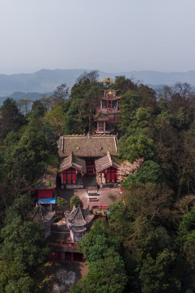 石壁山"攀岩"手脚并用 探秘重庆原始森林最野玩法 做最野的山林人