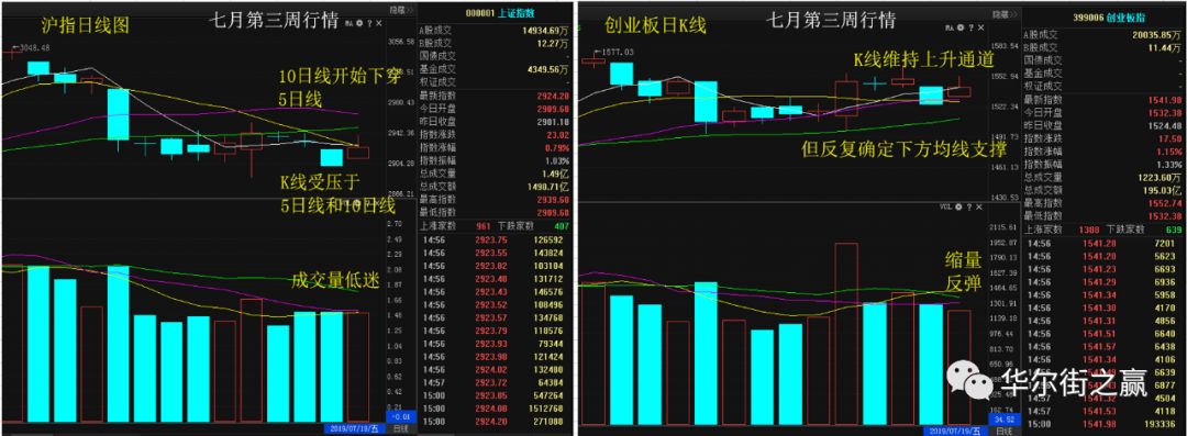 科創個股起到鰱魚效應