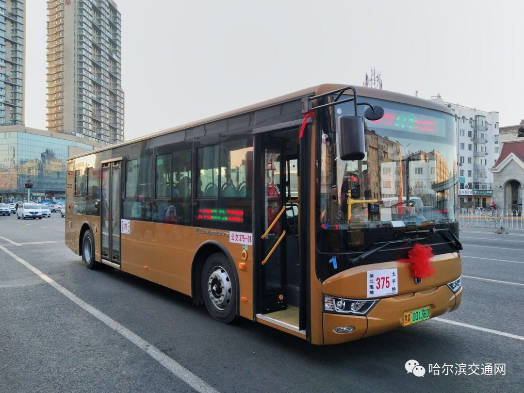 哈尔滨367路公交车图片