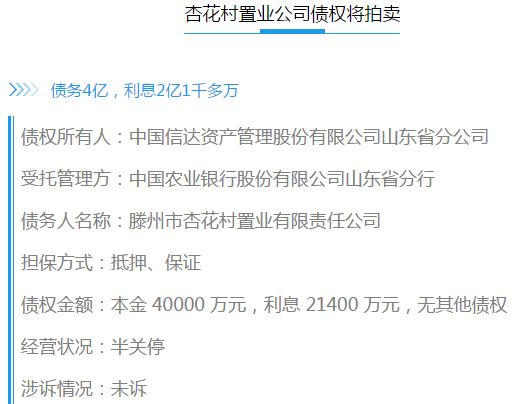 6億多棗莊一房產大鱷被抓了產業被拍賣涉及這些