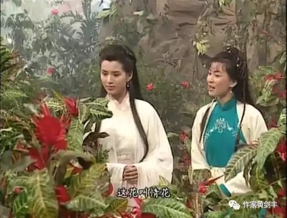 【草木纪】《神雕侠侣》中的情花与断肠草_金庸
