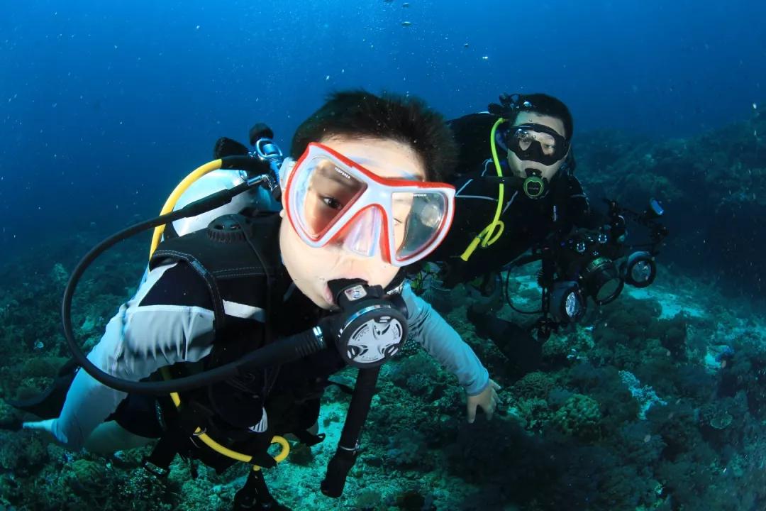 20198813中国沙县上天入水稀有主题夏令营活动登陆啦