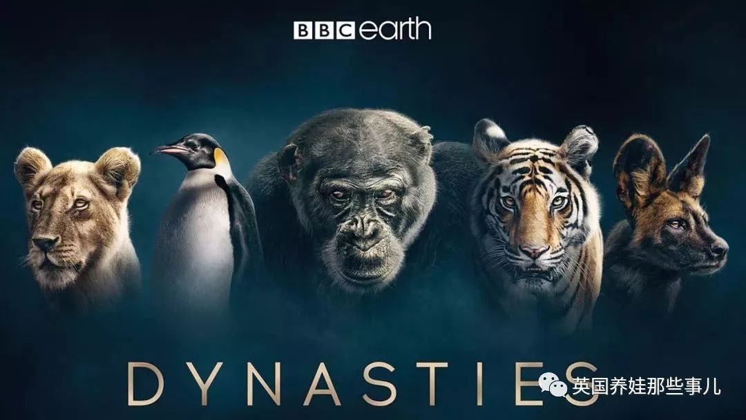 bbc纪录片强力推荐