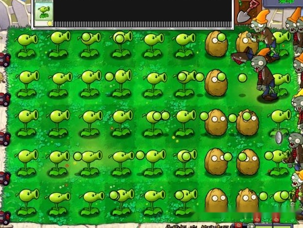 随后小编又把坚果的后两排全部铲除,并换上豌豆射手