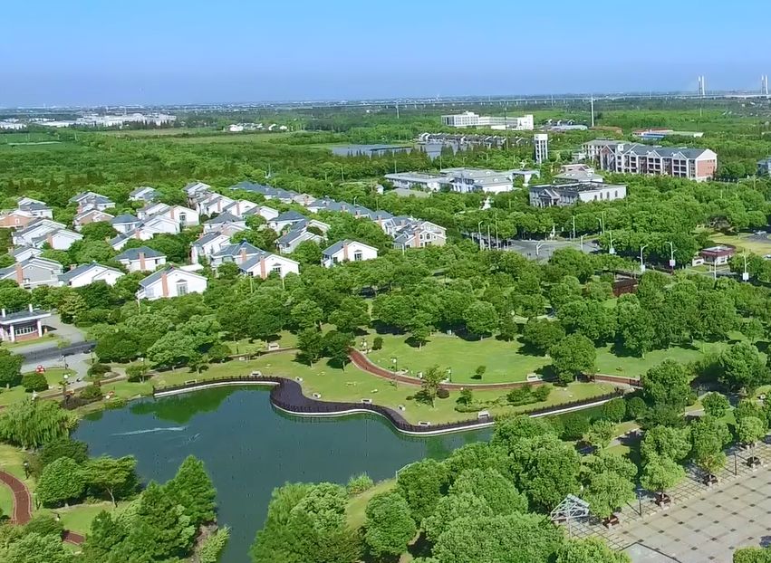 小花园微景观焕新颜看松江如何打造高颜值农村