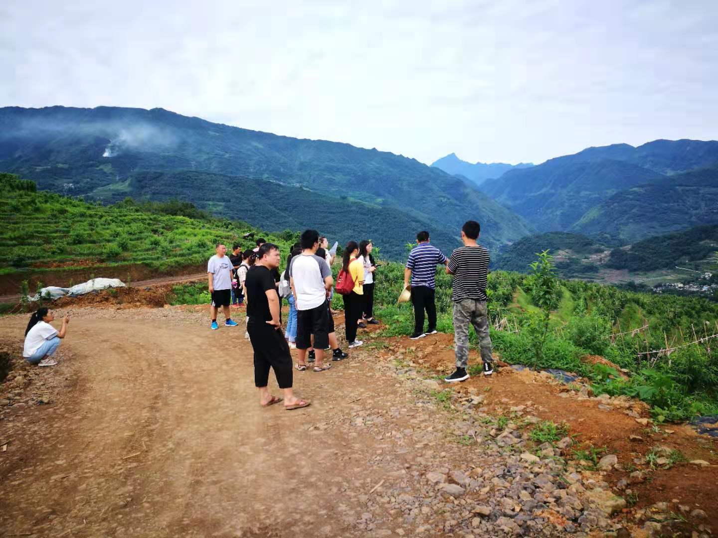 "——赵山村村主任葛均扬番茄它普通却总是能做出百变美味是我们日常