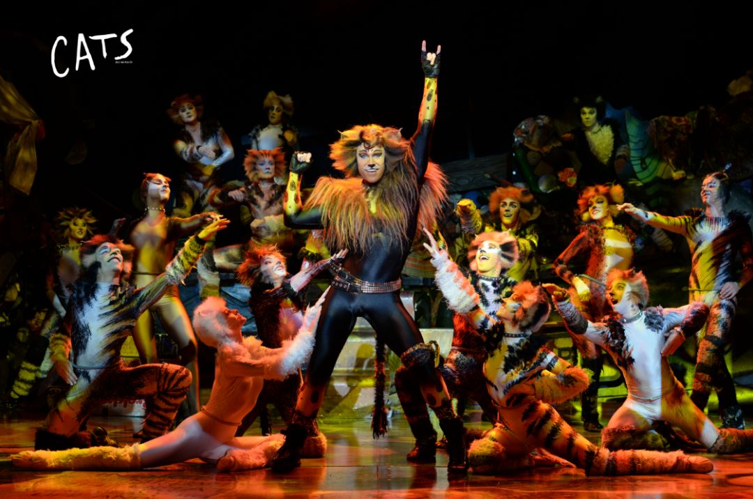 奢华的舞台服装全剧30多顶假发,250多套服装,每只猫都拥有量身定制