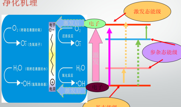 深挖除甲醛內幕永久淨化室內甲醛持續保護呼吸健康