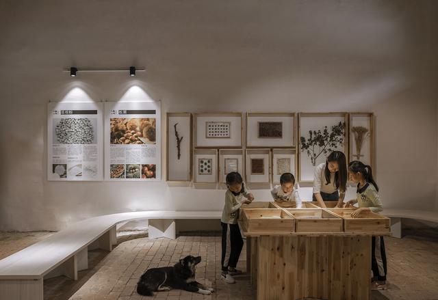 "春种"五谷展示区五谷展示春—展墙春—展桌因此,"春种"在于"触摸"和"