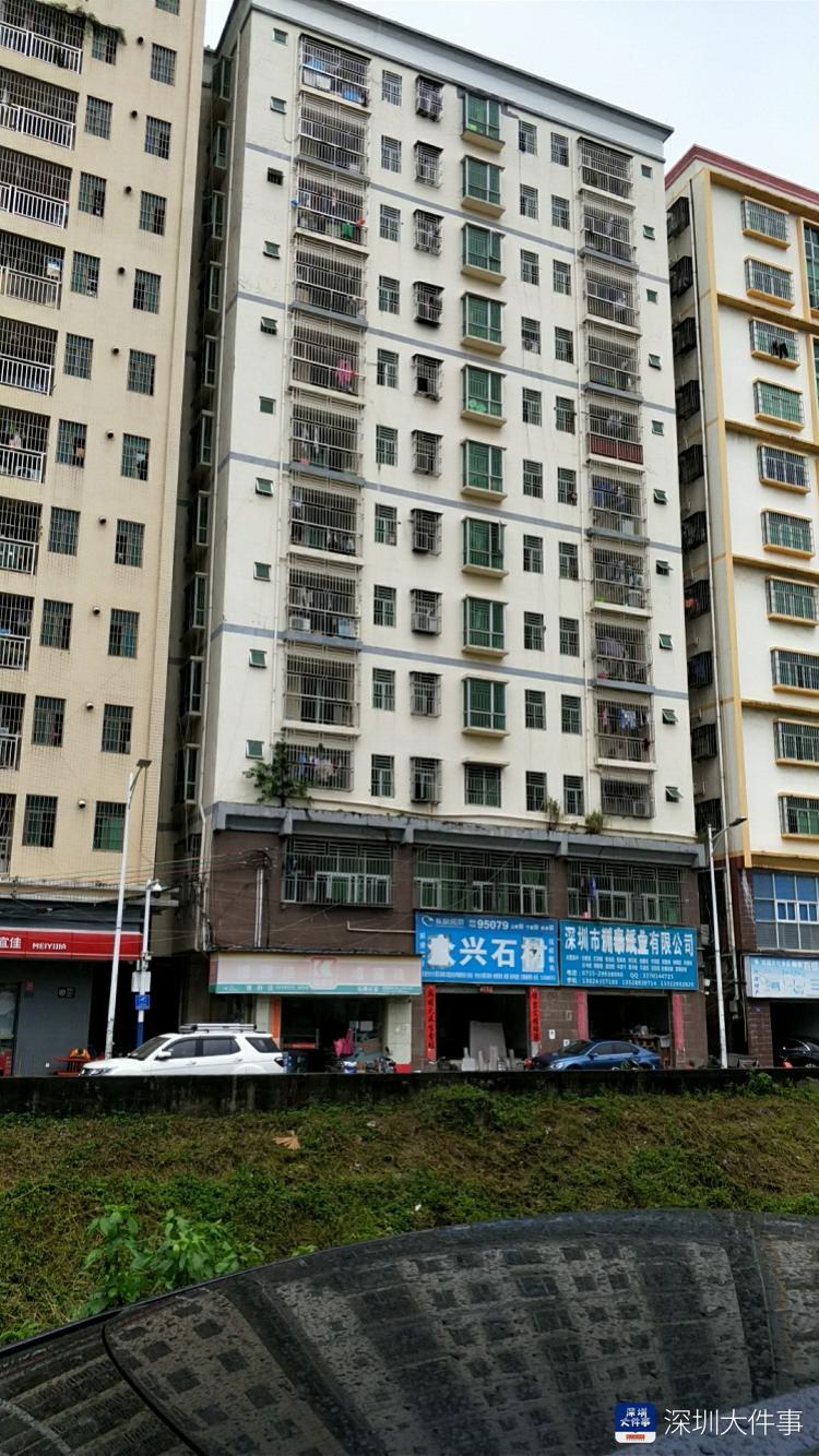 深圳自建房闹假房东纠纷报警数十次近百租户搬离社区介入调节