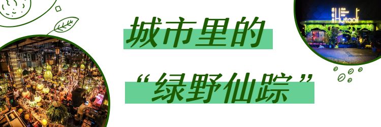 裡5折任你恰·第四站(第二站彭廚e族海鮮店回訪)獲得了廣泛關注和認可