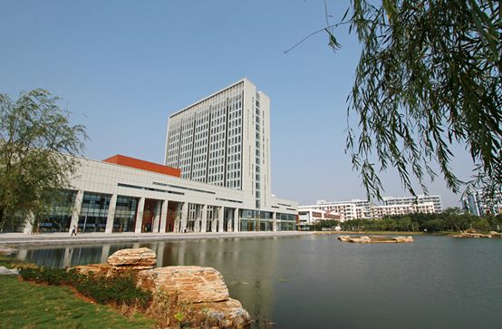 象山网站建设行业动态：推动企业数字化转型