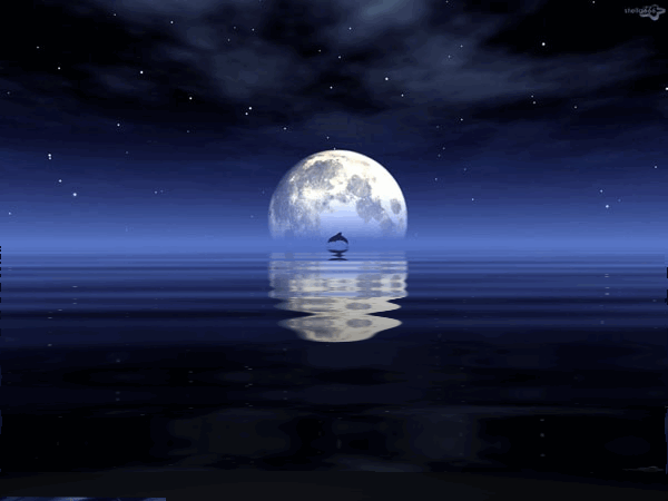 夜深了,青岛红树林度假世界的夜也进入梦境深处.