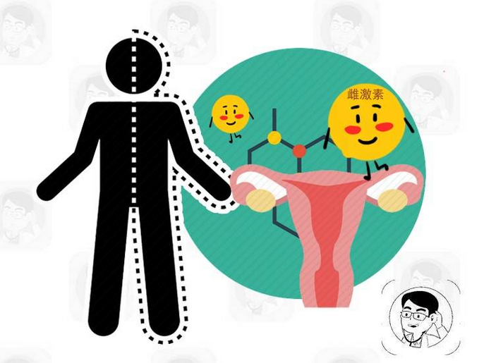 2,雌激素分泌逐渐降低