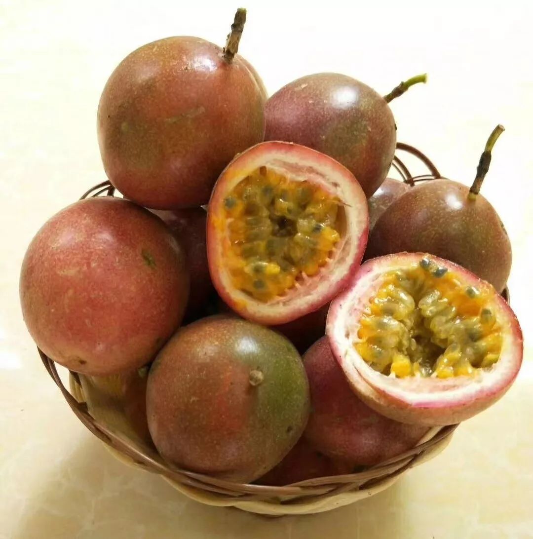 保亭水果如此多娇,引无数吃货竞折腰!