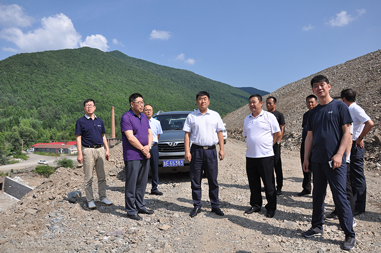 经希军到我县检查调研