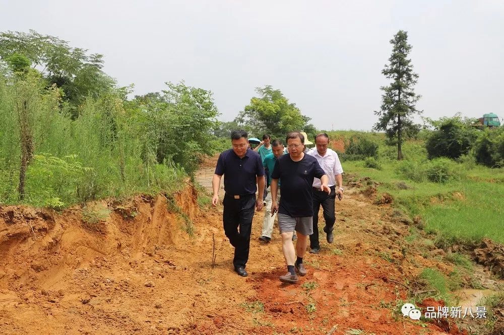 高安市长康健来八景礼港了.