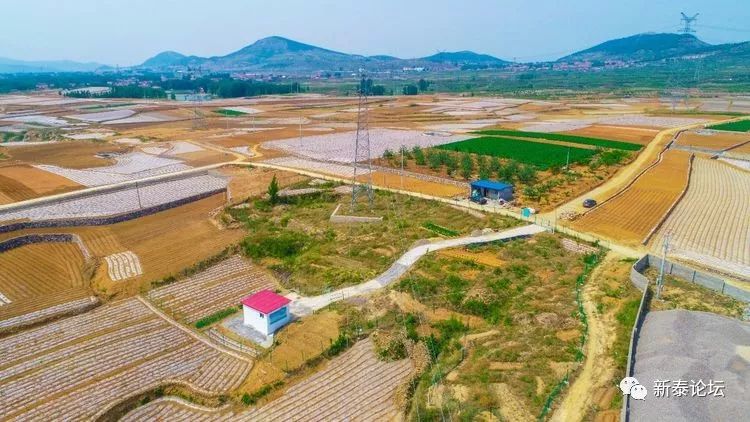 新泰市村落地名志岳家庄乡良义庄村