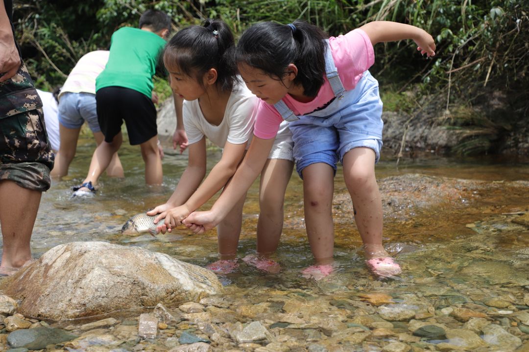 黄山市红领巾成长体验营公益活动圆满落幕
