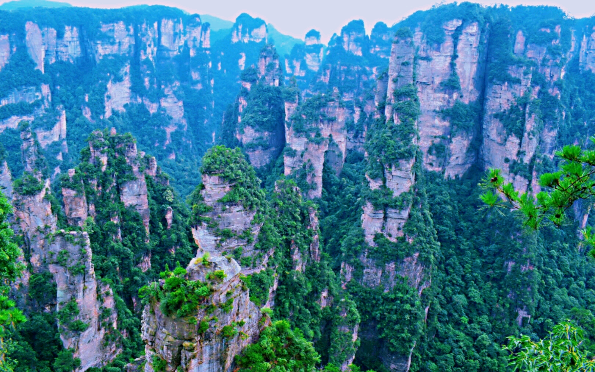 最近想帶老人去張家界旅遊不知道是否需要爬很多山