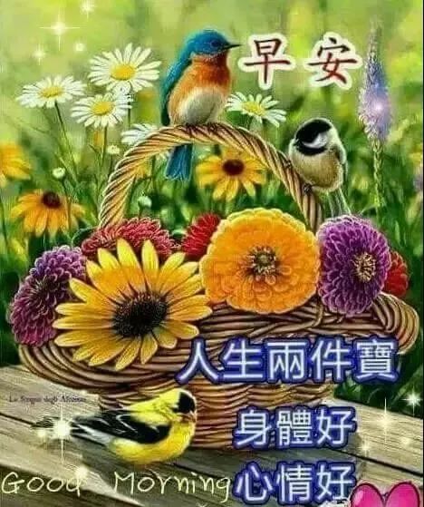 7月23日星期二早上好问候语带图片早上好的祝福语温馨短句