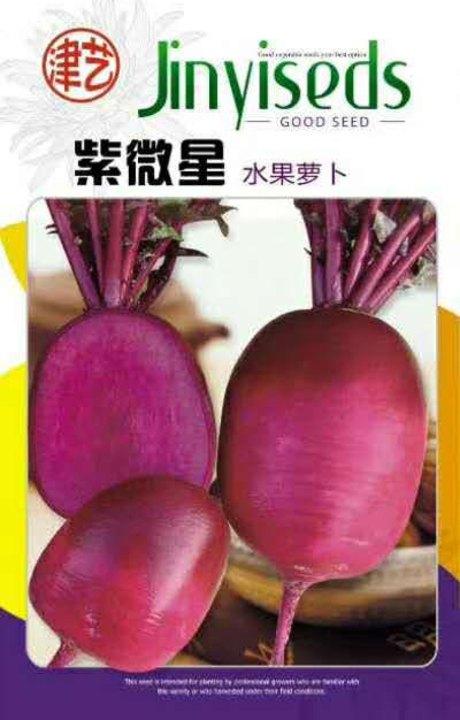 紫微星水果萝卜种子进口紫红色萝卜品种