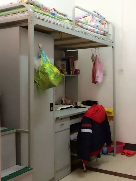 哈工大各公寓情况简介